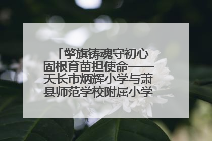 擎旗铸魂守初心 固根育苗担使命——天长市炳辉小学与萧县师范学校附属小学结对共建活动纪实