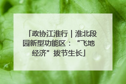 政协江淮行｜淮北段园新型功能区：“飞地经济”拔节生长