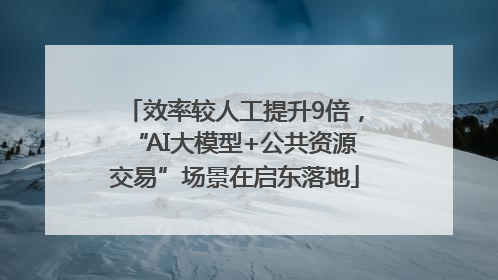 效率较人工提升9倍，“AI大模型+公共资源交易”场景在启东落地