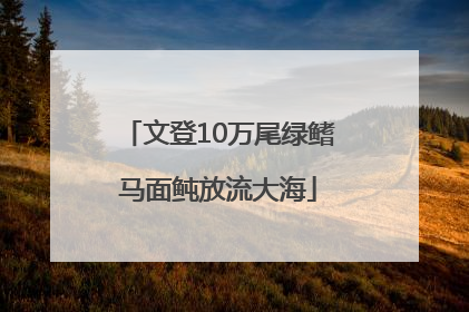 文登10万尾绿鳍马面鲀放流大海
