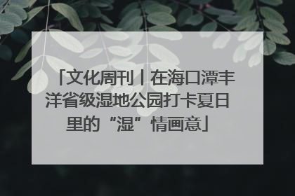 文化周刊丨在海口潭丰洋省级湿地公园打卡夏日里的“湿”情画意