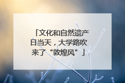 文化和自然遗产日当天，大学路吹来了“敦煌风”