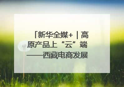 新华全媒+｜高原产品上“云”端——西藏电商发展一线观察