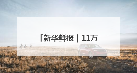 新华鲜报｜11万列！中欧班列跑出亚欧大陆“新时速”