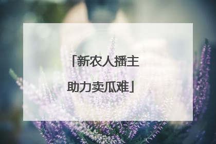 新农人播主 助力卖瓜难