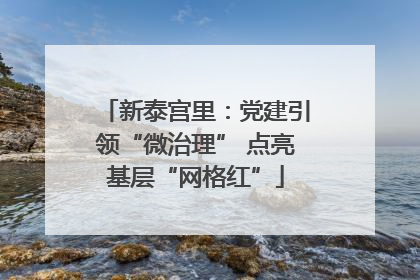 新泰宫里：党建引领“微治理” 点亮基层“网格红”