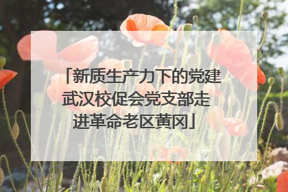 新质生产力下的党建 武汉校促会党支部走进革命老区黄冈