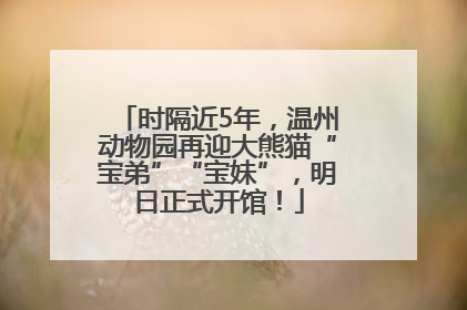 时隔近5年，温州动物园再迎大熊猫“宝弟”“宝妹”，明日正式开馆！