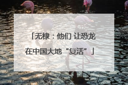 无棣：他们 让恐龙在中国大地“复活”