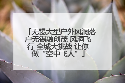 无锡大型户外风洞落户无锡融创茂 风洞飞行 全城大挑战 让你做“空中飞人”