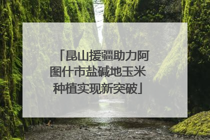 昆山援疆助力阿图什市盐碱地玉米种植实现新突破