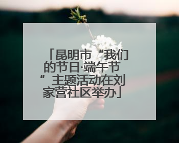 昆明市“我们的节日·端午节”主题活动在刘家营社区举办