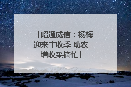 昭通威信：杨梅迎来丰收季 助农增收采摘忙