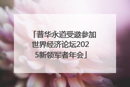 普华永道受邀参加世界经济论坛2025新领军者年会
