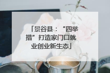 景谷县：“四举措”打造家门口就业创业新生态