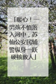 暖心！一男孩不慎落入河中，苏仙公安民辅警纵身一跃硬核救人