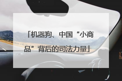 机器狗、中国“小商品”背后的司法力量