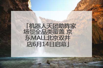 机器人天团助阵家场景全品类覆盖 京东MALL北京双井店6月14日启幕