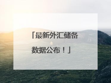 最新外汇储备数据公布！