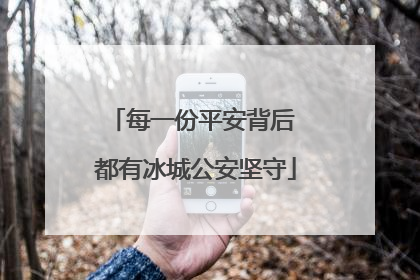每一份平安背后 都有冰城公安坚守