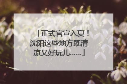 正式官宣入夏！沈阳这些地方既清凉又好玩儿……