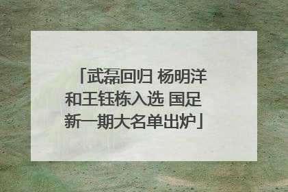 武磊回归 杨明洋和王钰栋入选 国足新一期大名单出炉