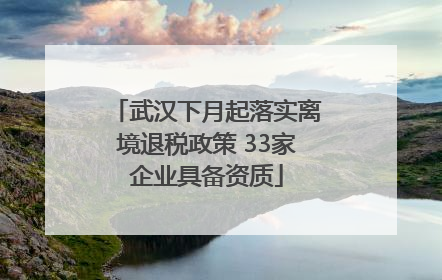 武汉下月起落实离境退税政策 33家企业具备资质