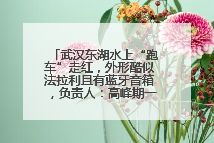 武汉东湖水上“跑车”走红，外形酷似法拉利且有蓝牙音箱，负责人：高峰期一两百人排队