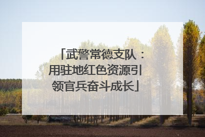 武警常德支队：用驻地红色资源引领官兵奋斗成长