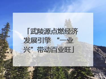 武陵源点燃经济发展引擎 “一业兴”带动百业旺