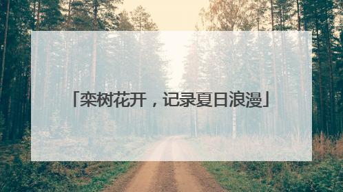 栾树花开，记录夏日浪漫