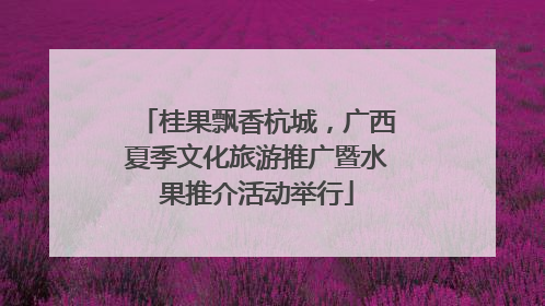 桂果飘香杭城，广西夏季文化旅游推广暨水果推介活动举行