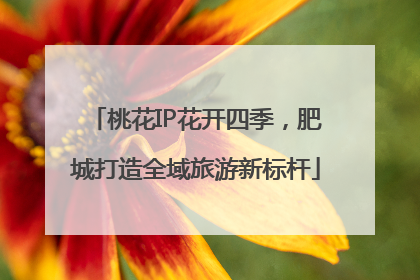桃花IP花开四季，肥城打造全域旅游新标杆