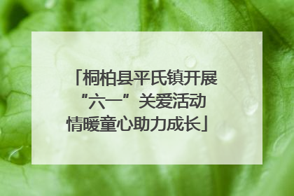 桐柏县平氏镇开展“六一”关爱活动 情暖童心助力成长