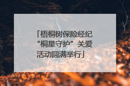 梧桐树保险经纪“桐星守护”关爱活动圆满举行