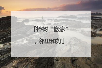 樟树“搬家”，邻里和好