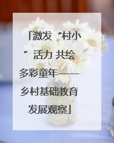 激发“村小”活力 共绘多彩童年——乡村基础教育发展观察