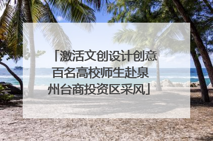 激活文创设计创意 百名高校师生赴泉州台商投资区采风