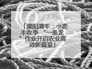濮阳清丰：小麦丰收季 “一条龙”作业开启农业高效新篇章
