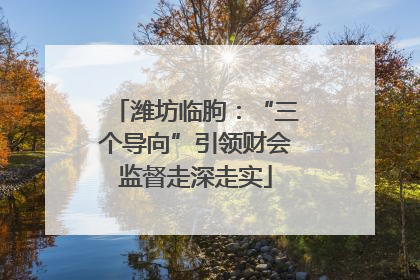 潍坊临朐：“三个导向”引领财会监督走深走实
