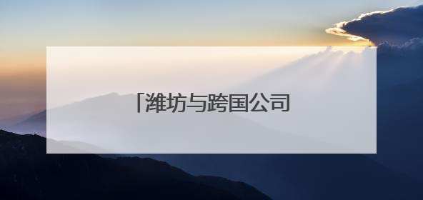 潍坊与跨国公司合作对接会举行
