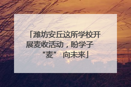 潍坊安丘这所学校开展麦收活动，盼学子 “麦” 向未来