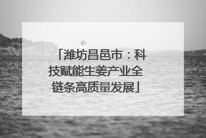 潍坊昌邑市：科技赋能生姜产业全链条高质量发展