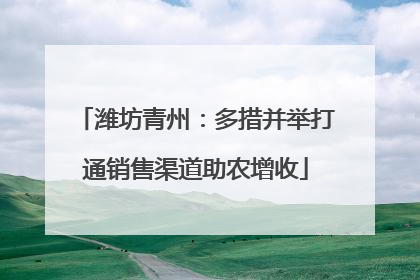 潍坊青州：多措并举打通销售渠道助农增收