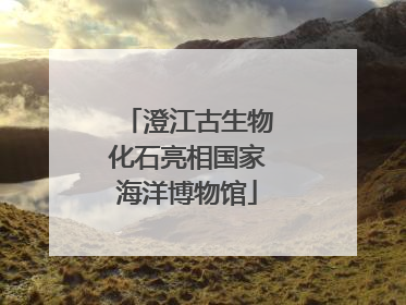 澄江古生物化石亮相国家海洋博物馆