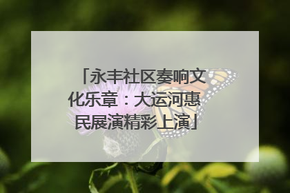 永丰社区奏响文化乐章：大运河惠民展演精彩上演