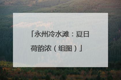 永州冷水滩：夏日荷韵浓（组图）