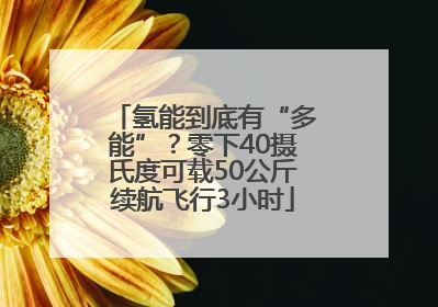 氢能到底有“多能”？零下40摄氏度可载50公斤续航飞行3小时