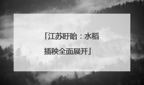 江苏盱眙：水稻插秧全面展开
