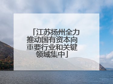 江苏扬州全力推动国有资本向重要行业和关键领域集中